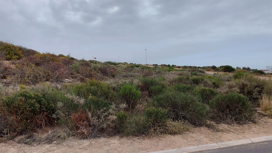 0 Bedroom Property for Sale in St Helena Views Western Cape